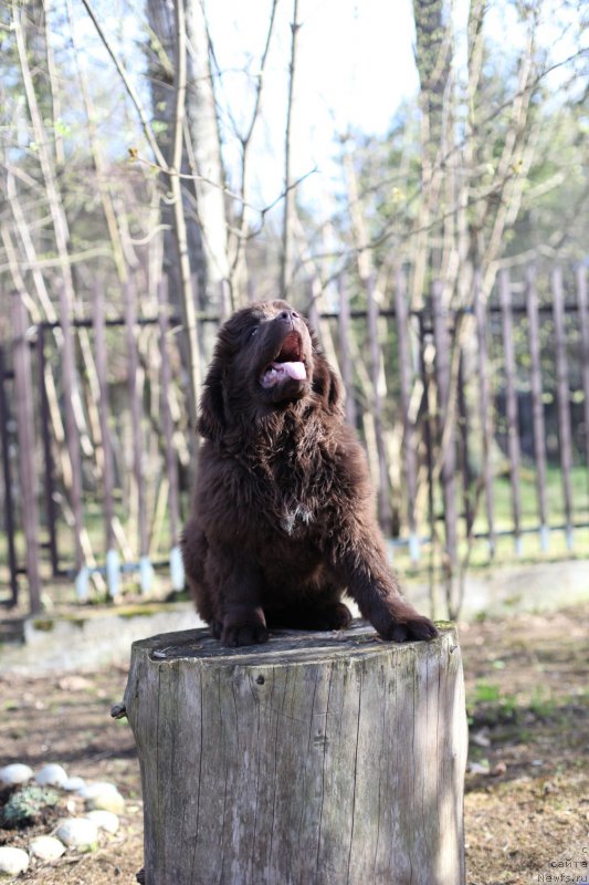 Фотография № 180953