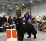 Превью фото № 112705