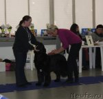 Превью фото № 115629