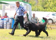 Превью фото № 130636