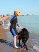 Превью фото № 134466