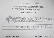 Превью фото № 134782