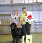 Превью фото № 139339