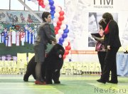 Превью фото № 147467