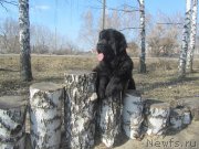 Превью фото № 150140