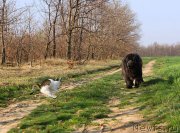 Превью фото № 150414