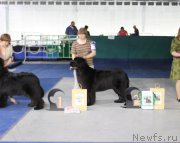 Превью фото № 152904