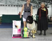 Превью фото № 152976