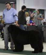 Превью фото № 157859