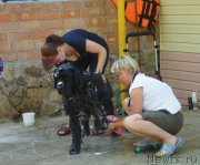 Превью фото № 162703