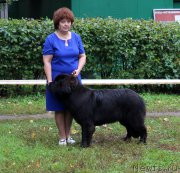 Превью фото № 163466