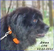 Превью фото № 173661