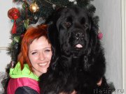 Превью фото № 174702