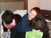 Превью фото № 176736