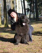 Превью фото № 176960