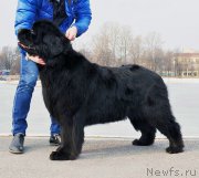 Превью фото № 178116