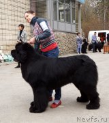 Превью фото № 180749