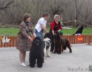 Превью фото № 180833