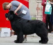 Превью фото № 181354