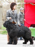 Превью фото № 181377