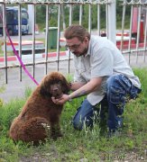 Превью фото № 188597