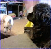 Превью фото № 189123