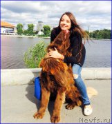 Превью фото № 189706