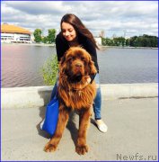 Превью фото № 189719