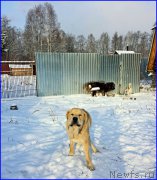 Превью фото № 195032