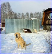 Превью фото № 195035