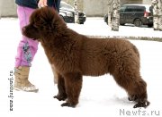 Превью фото № 202049