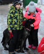 Превью фото № 202666