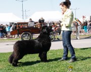 Превью фото № 206428