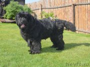 Превью фото № 208274