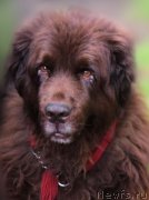 Превью фото № 212447