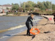 Превью фото № 214241