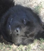 Превью фото № 214282