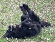 Превью фото № 215554