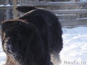 Превью фото № 217816