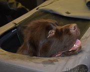 Превью фото № 218453