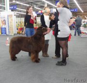 Превью фото № 220221