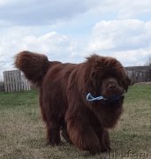 Превью фото № 225051