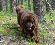 Превью фото № 225479