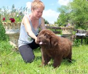 Превью фото № 226178