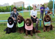 Превью фото № 226568