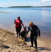 Превью фото № 227943