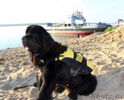 Превью фото № 227979