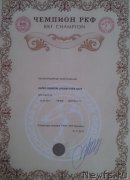 Превью фото № 233477