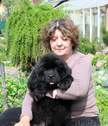 Превью фото № 235594