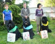 Превью фото № 235956